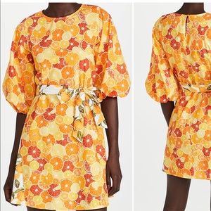 Never Fully Dressed Clementine Dress